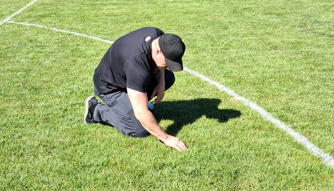 Neuer Sportrasen braucht Training