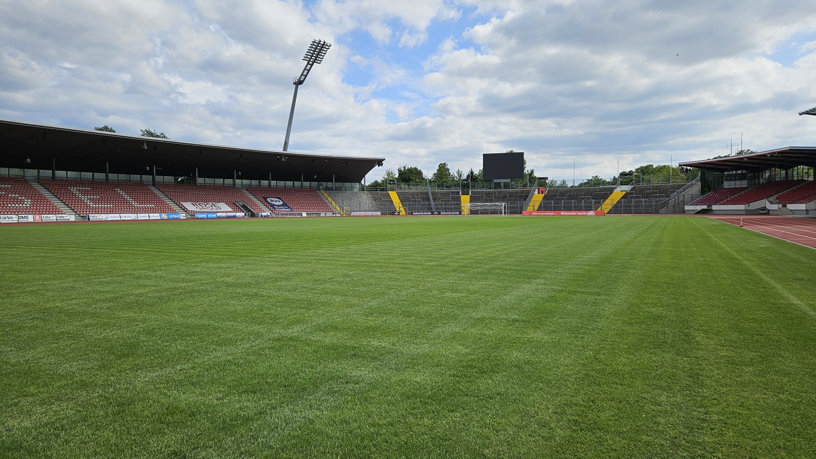 Sportrasen des Kasseler Auestadions